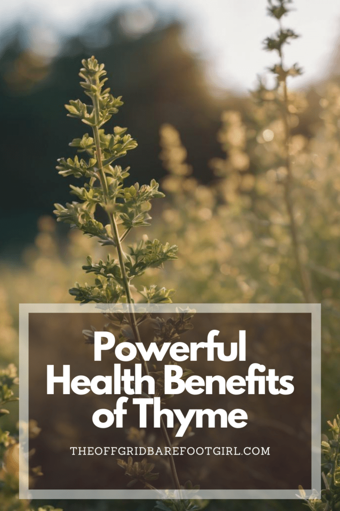 Image illustrates a Pinterest post of thyme demonstrating the health benefits of thyme. 
