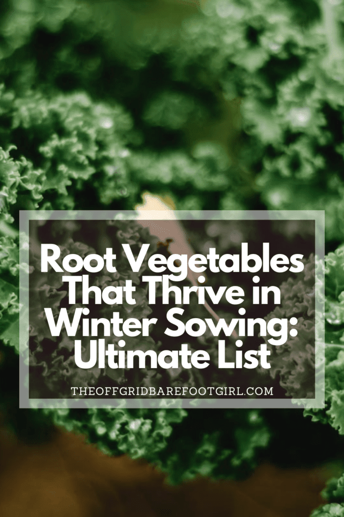 Image illustrates a Pinterest pin of hardy greens for winter sowing. 