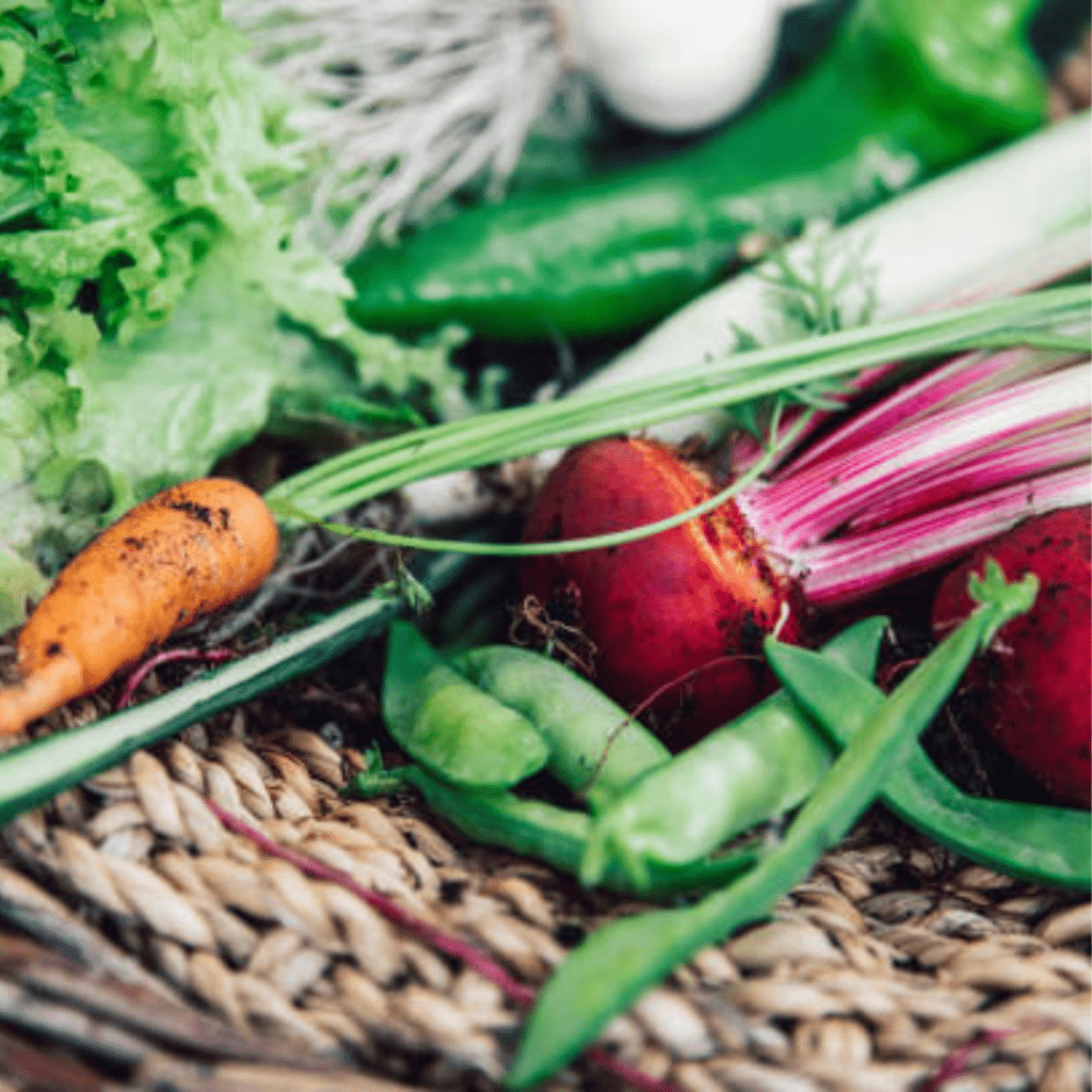 Image illustrates the best spring vegetables to grow.