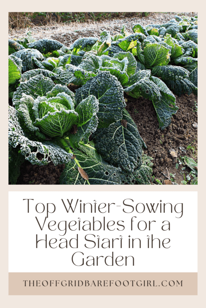 Image illustrates a Pinterest pin of winter sowing vegetables.