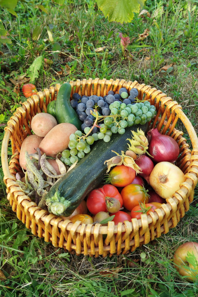 Image illustrates vegetables demonstrating how to grow a productive canning garden. 