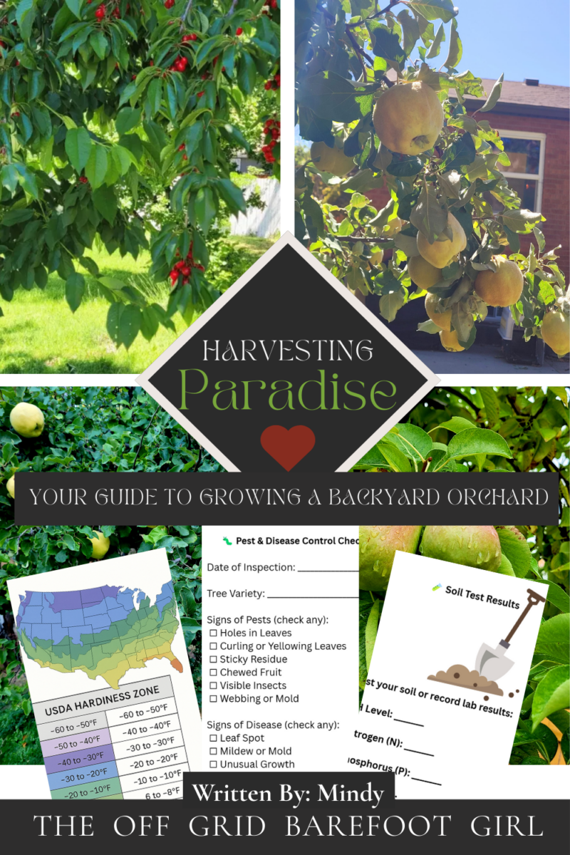 Image illustrates The Off Grid Barefoot Girl Harvesting Paradise book.