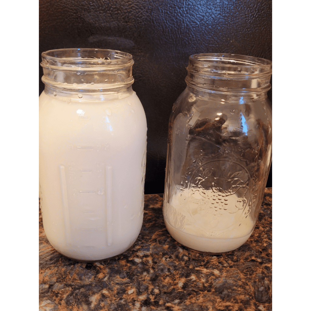 Image illustrates Mason jars with buttermilk demonstrating a recipe on how to make homemade cultured buttermilk. 