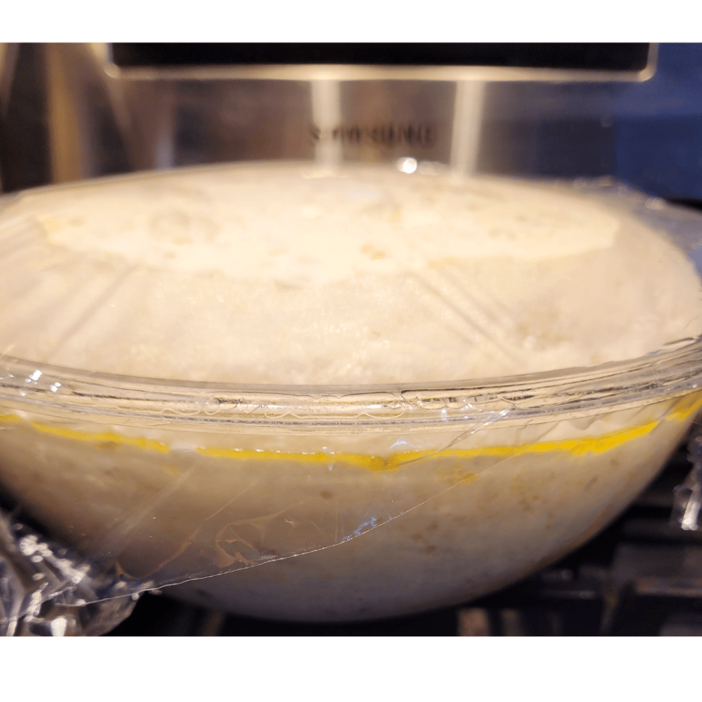 Image illustrates dough rising in a bowl.