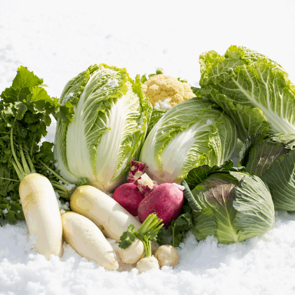 Image illustrates planting vegetables in winter.