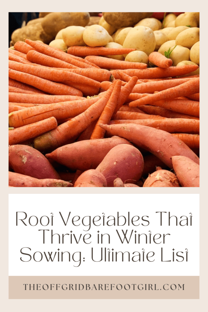 Image illustrates a Pinterest post of root vegetables for winter sowing. 