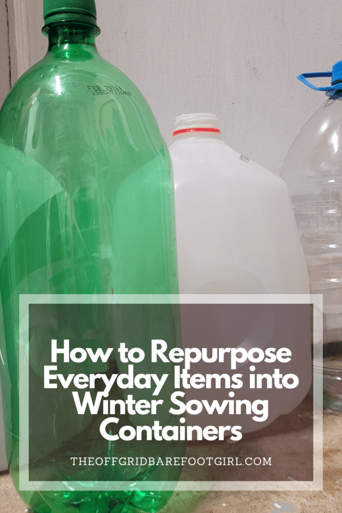 Image illustrates a Pinterest pin of clear recycled jugs and bottles for winter sowing containers. 