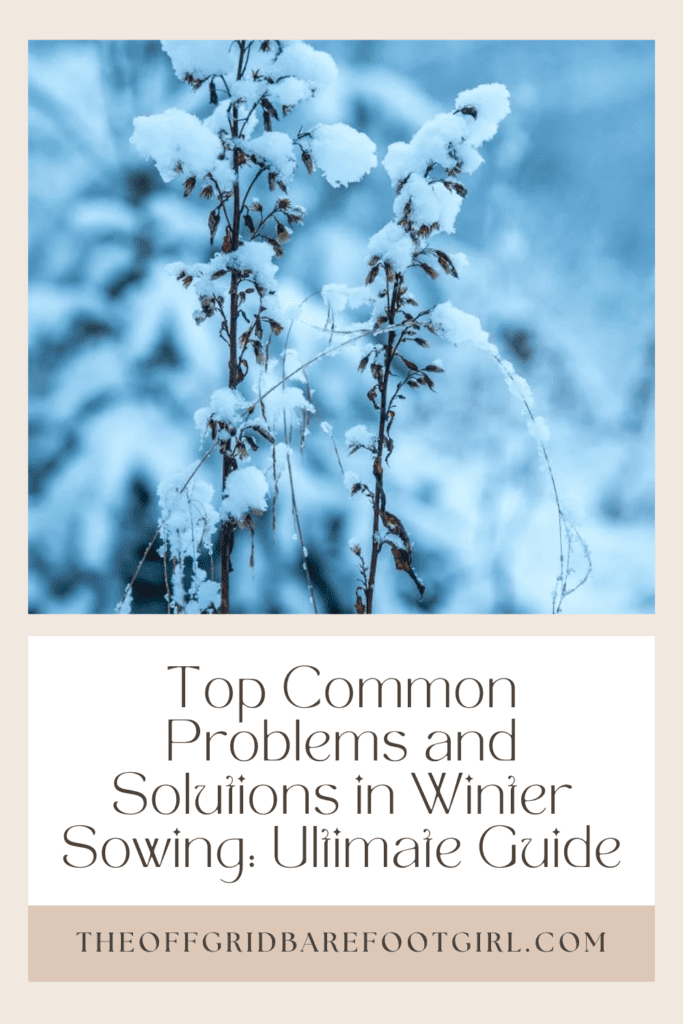 Image illustrates a Pinterest pin of a frosty plant demonstrating information for problems and solutions in winter sowing.