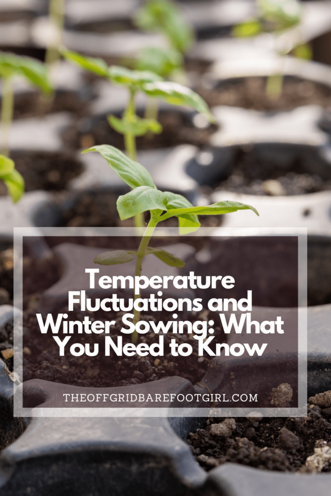 Image illustrates a Pinterest pin of seedlings demonstrating information for temperature fluctuations and winter sowing.