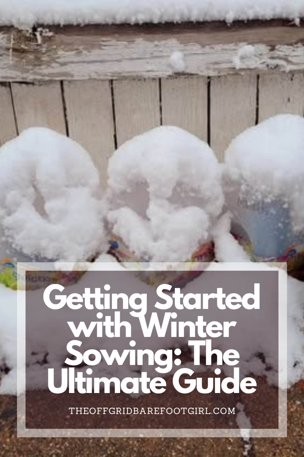 Image illustrates a Pinterest pin of milk jugs for winter sowing.