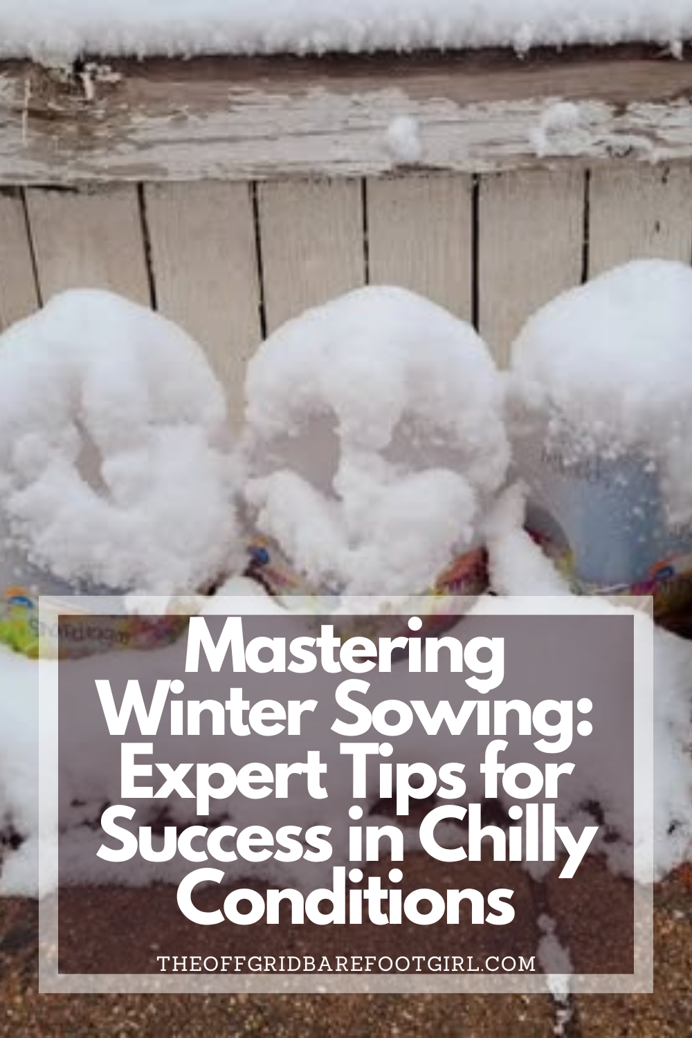 Image illustrates a Pinterest pin of mastering winter sowing with expert tips for success in chilly conditions.
