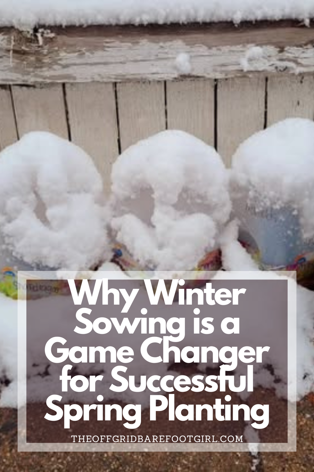 Image illustrates a Pinterest pin of plants in a mini greenhouse for winter sowing for spring planting. 