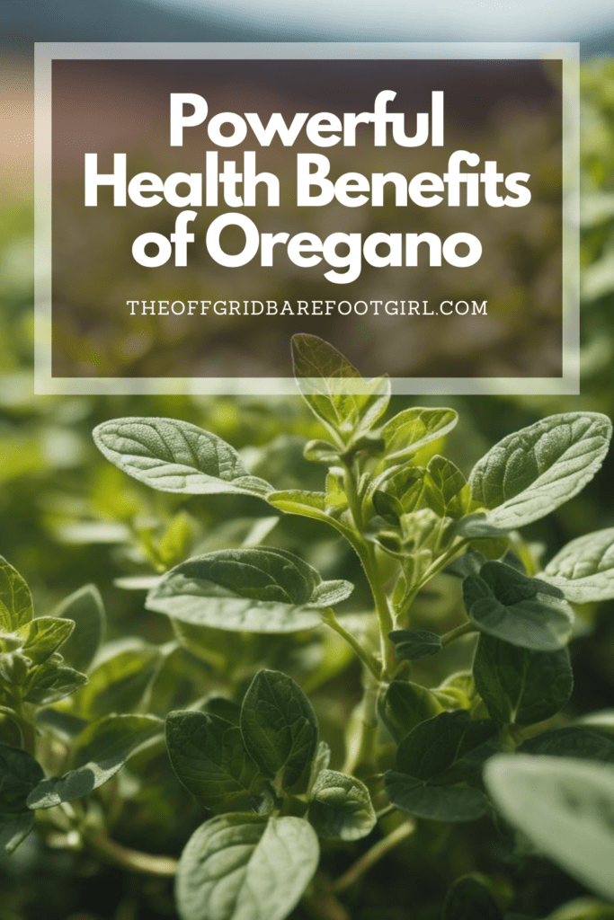 Image illustrates a Pinterest pin of oregano demonstrating information about the health benefits of oregano. 