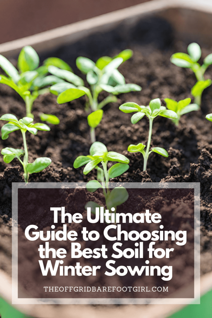 Image illustrates a Pinterest pin of seedlings in soil for best soil for winter sowing. 