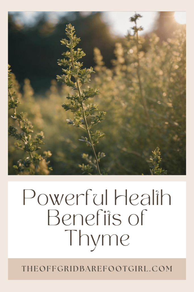 Image illustrates a Pinterest post of thyme demonstrating the health benefits of thyme. 
