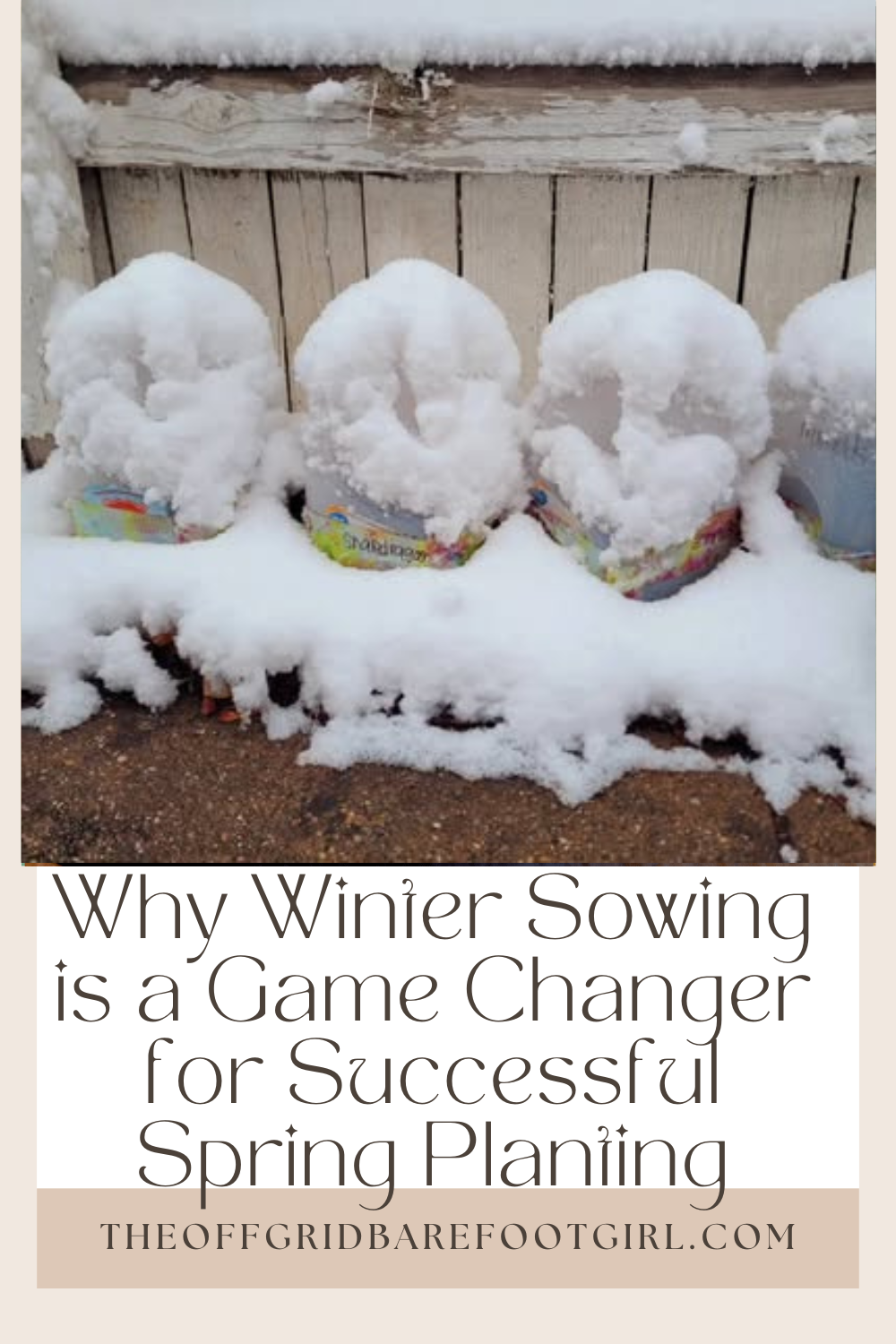 Image illustrates a Pinterest pin of plants in a mini greenhouse for winter sowing for spring planting. 