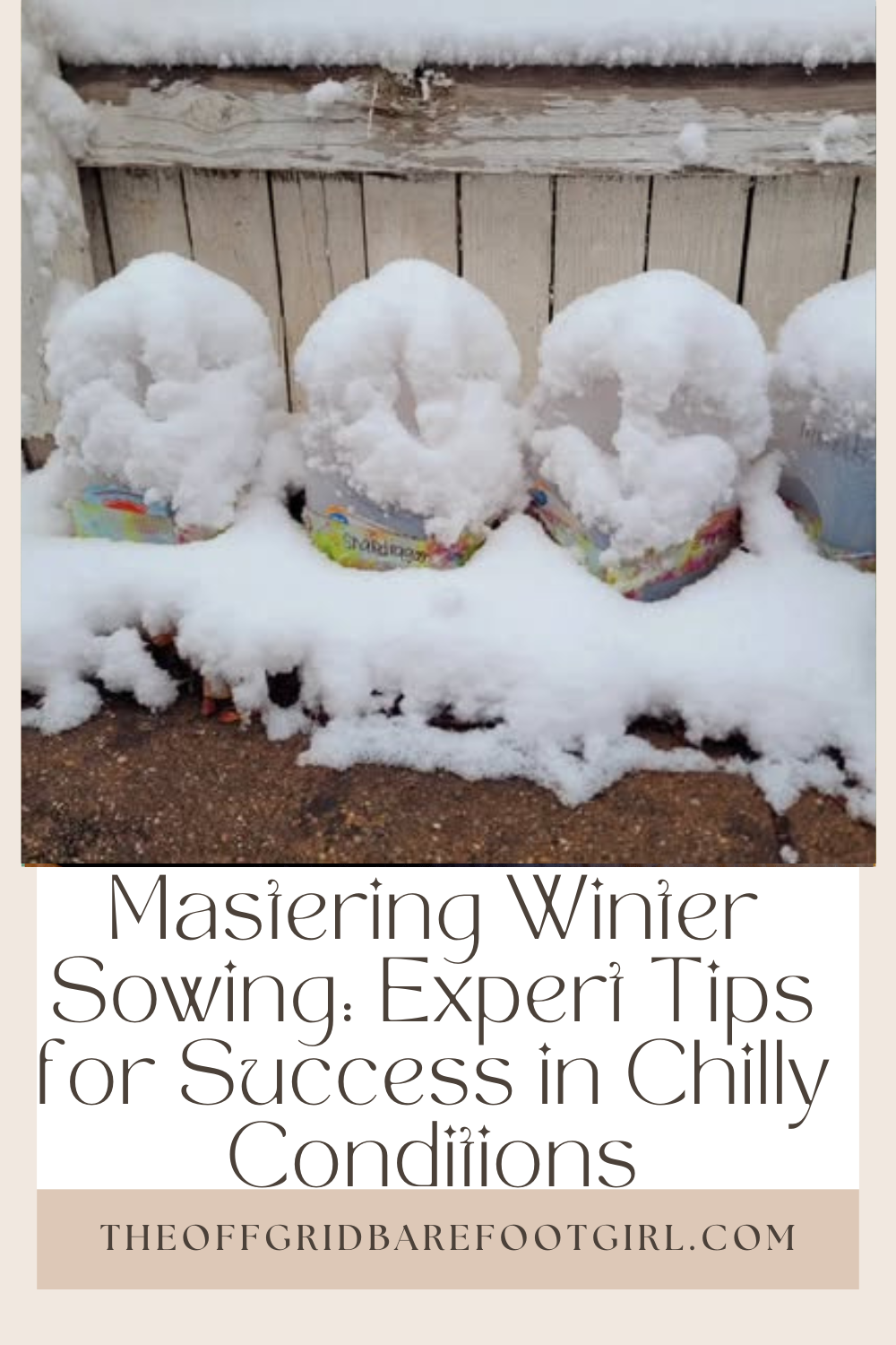 Image illustrates a Pinterest pin of mastering winter sowing with expert tips for success in chilly conditions.