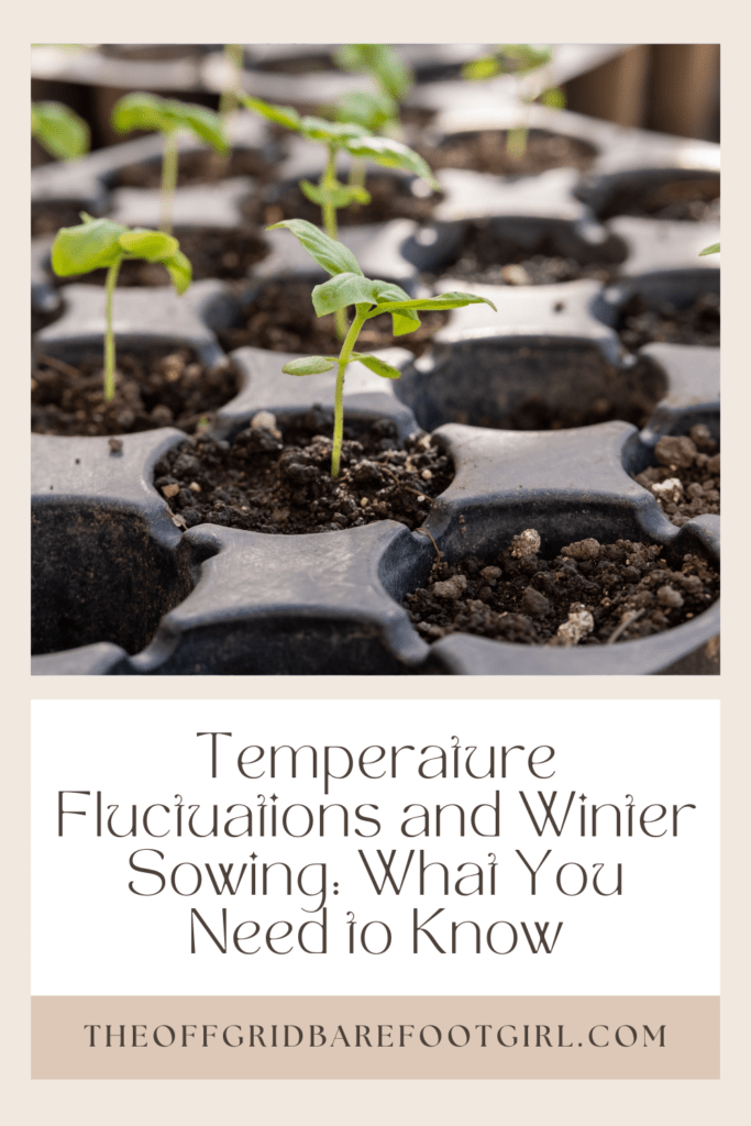 Image illustrates a Pinterest pin of seedlings demonstrating information for temperature fluctuations and winter sowing.