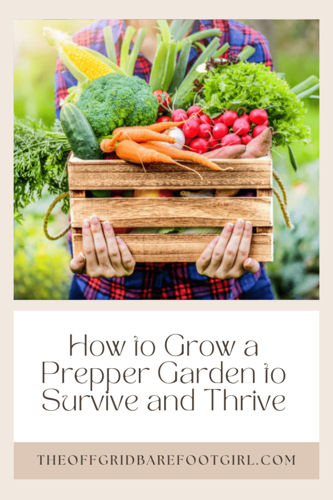 Image illustrates vegetables from a garden for how to grow a prepper garden. 