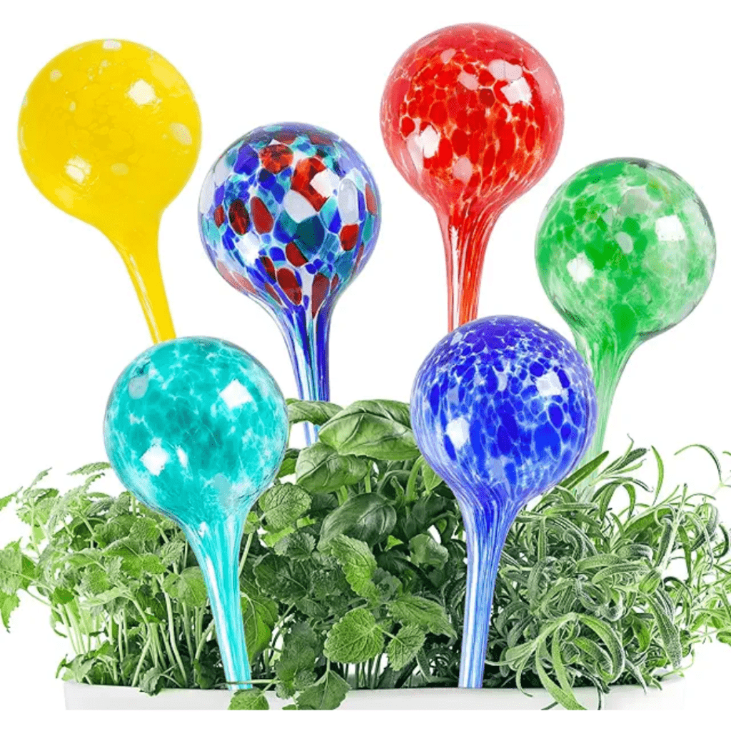 Image illustrates water globes for self-watering a balcony vegetable garden. 