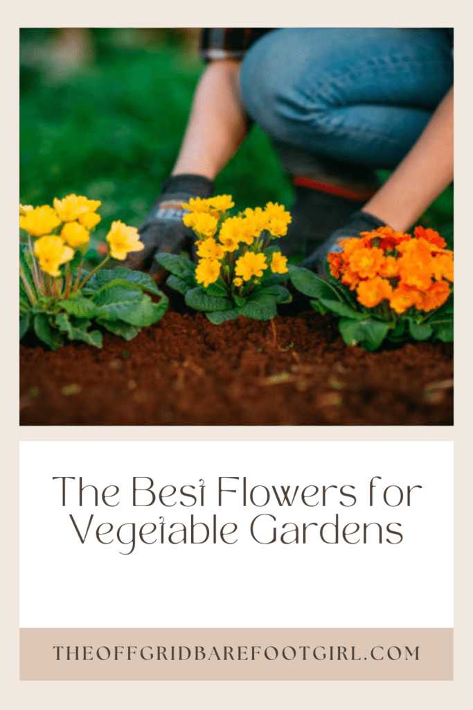 Image illustrates a Pinterest pin of flowers for vegetable gardens. 