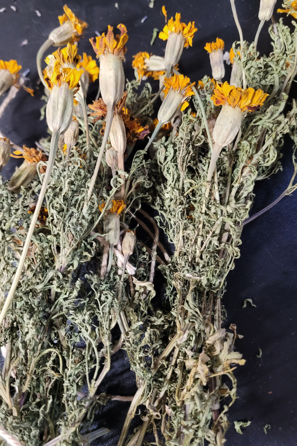 Image illustrates marigold seeds.