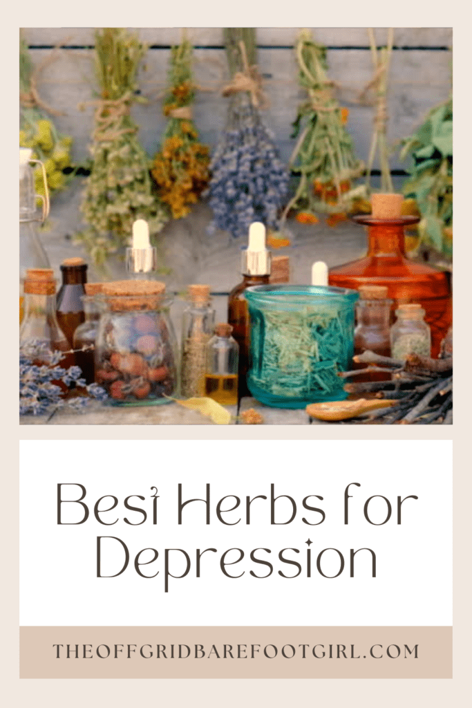 Image illustrates a Pinterest pin of herbs for depression. 