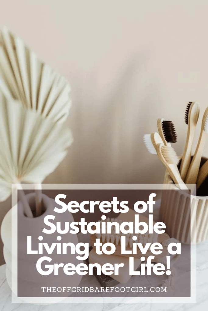 Image illustrates a Pinterest pin of products for sustainable living. 