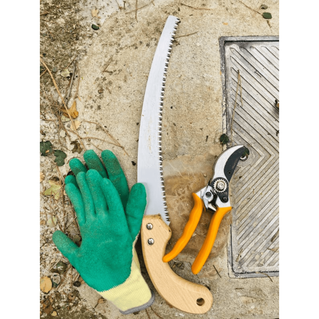 Image illustrates a pruning saw for the best garden tools. 