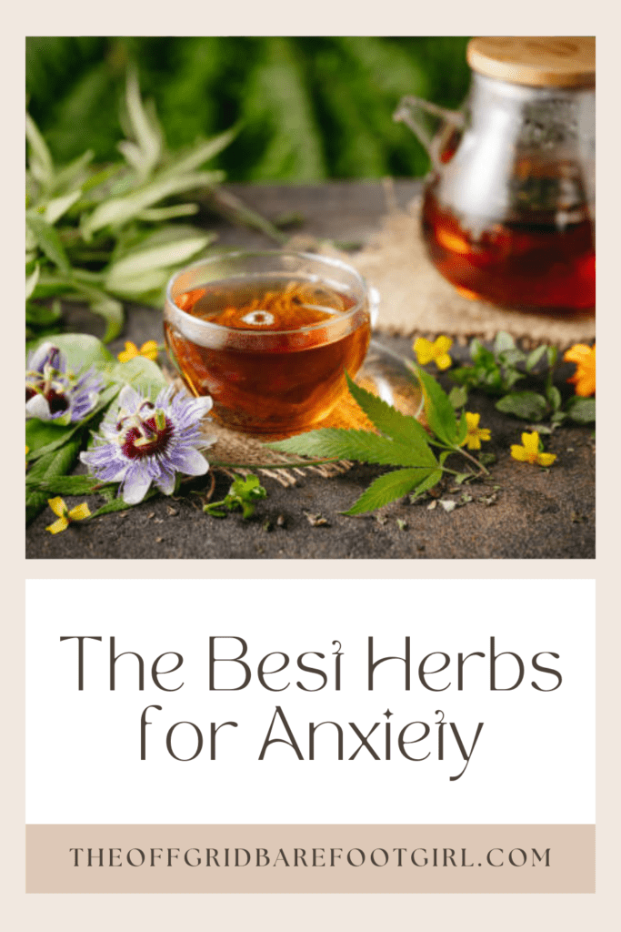 Image illustrates a Pinterest pin of the best herbs for anxiety. 