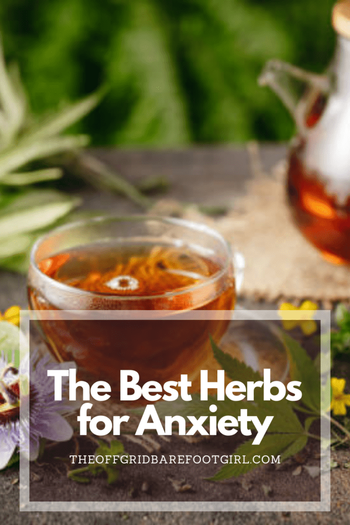 Image illustrates a Pinterest pin of the best herbs for anxiety. 