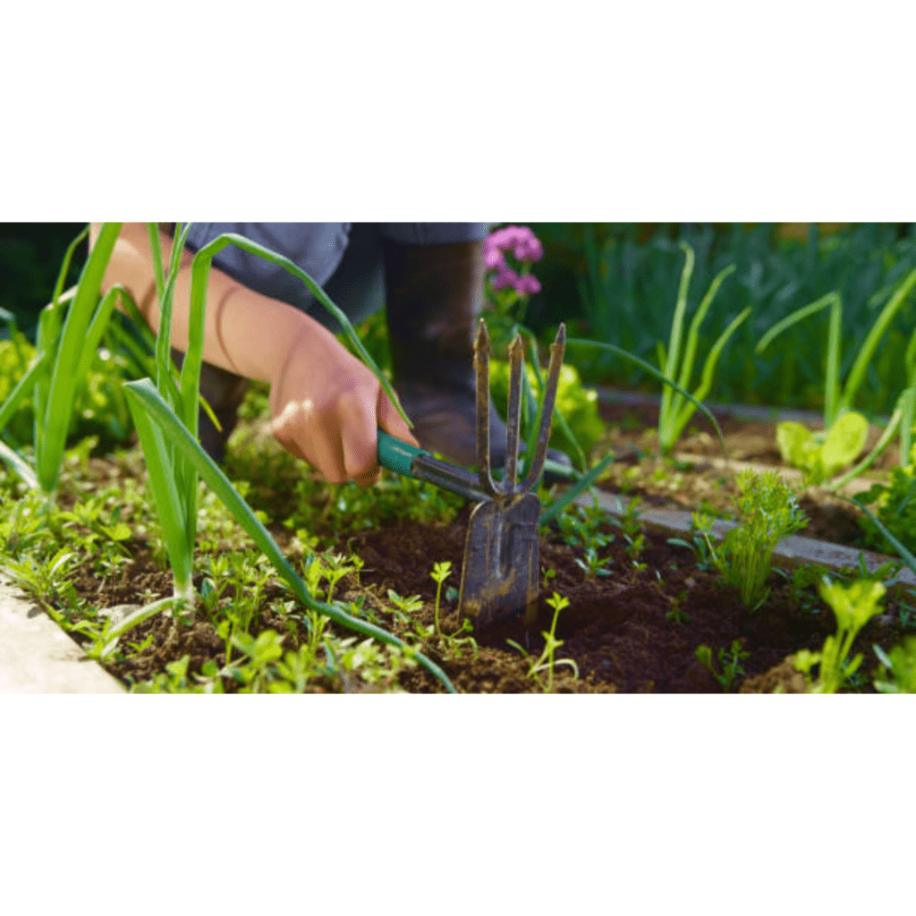 Image illustrates a garden hoe for the best garden tools. 