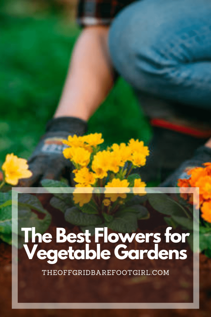 Image illustrates a Pinterest pin of flowers for vegetable gardens. 