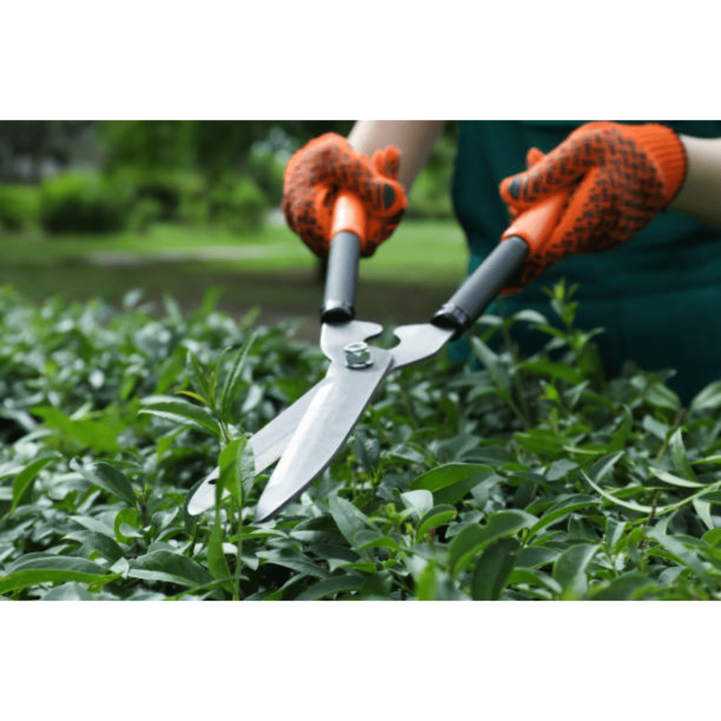 Image illustrates hedge trimmers for the best garden tools. 