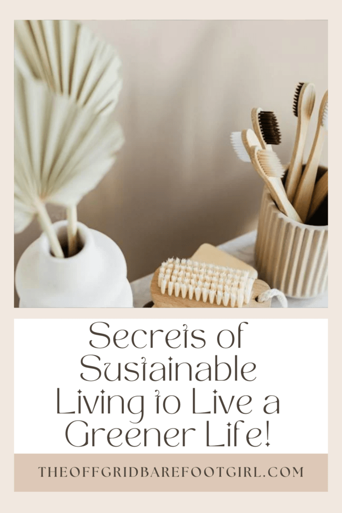 Image illustrates a Pinterest pin of products for sustainable living. 