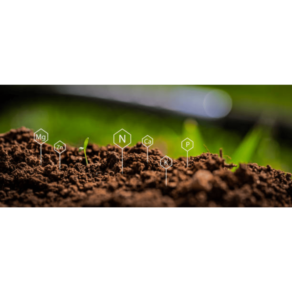 Image illustrates soil ready for a soil test.