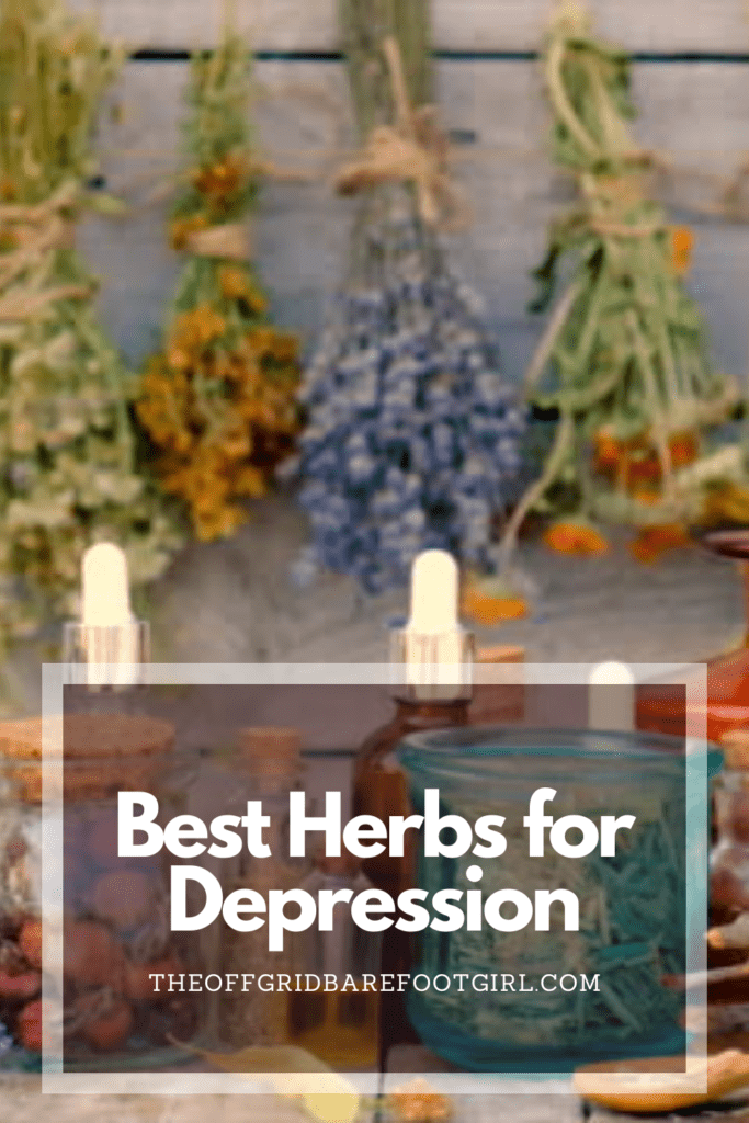 Image illustrates a Pinterest pin of herbs for depression. 