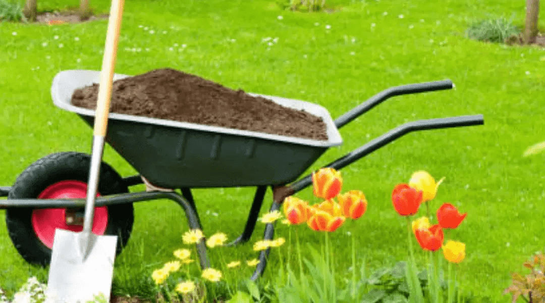 Prep Your Garden for Spring Planting with These Expert Tips!