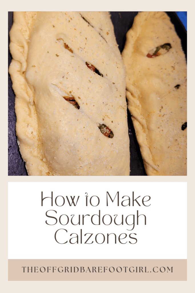 Image illustrates a Pinterest pin of sourdough calzones. 