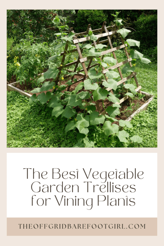Image illustrates a Pinterest pin of vegetable garden trellises. 