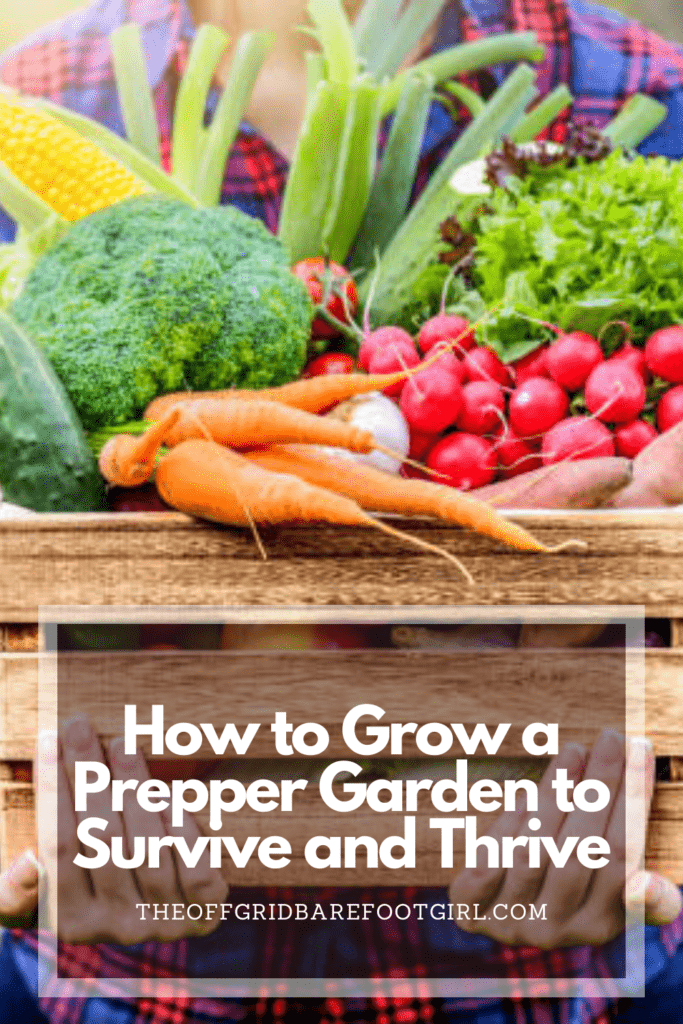 Image illustrates vegetables from a garden for how to grow a prepper garden. 
