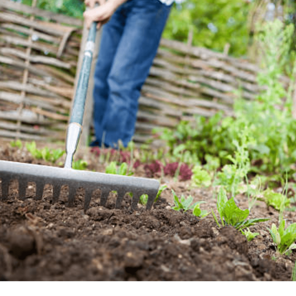 Image illustrates a garden rake for the best garden tools. 