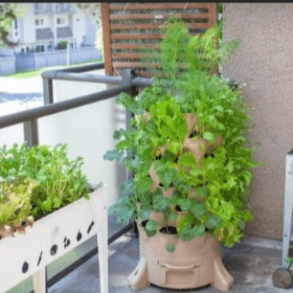Image illustrates a vegetable grow tower on a balcony. 