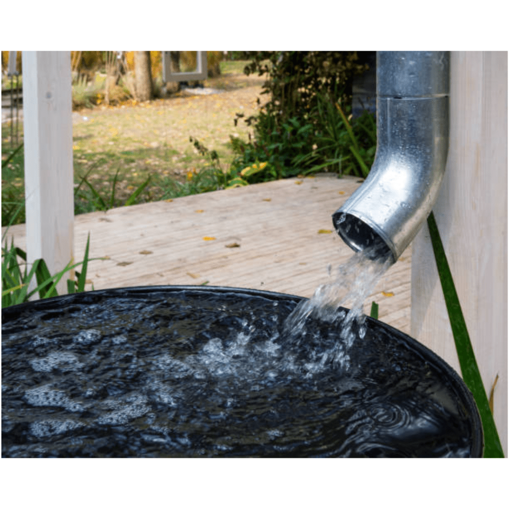 Image illustrates a rain barrel for harvesting rainwater. 