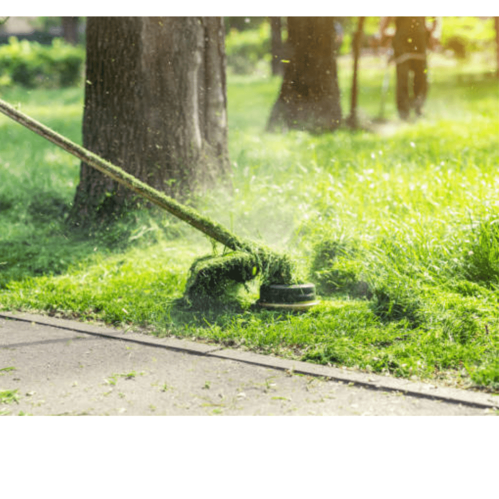Image illustrates a weed eater for the best garden tools. 