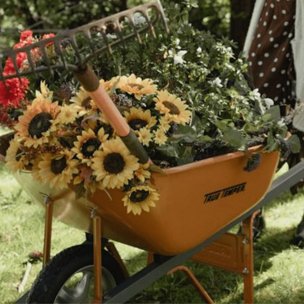 Image illustrates a wheelbarrow for the best garden tools. 