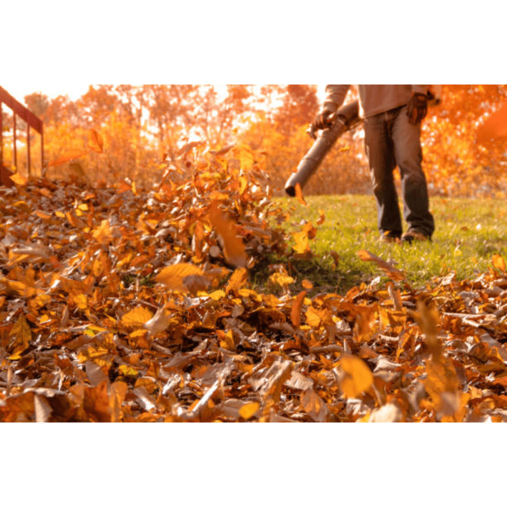 Image illustrates a leaf blower for the best garden tools. 