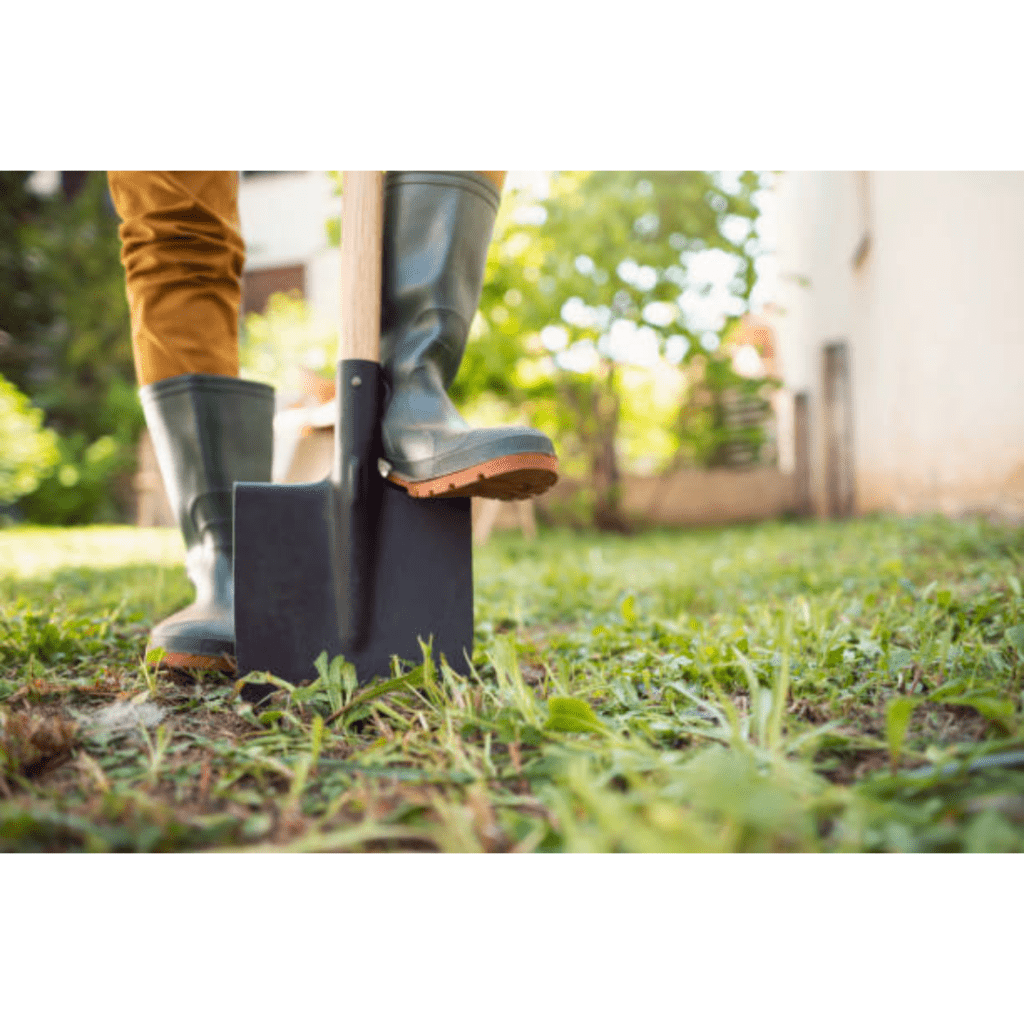 Image illustrates a garden spade for the best garden tools. 