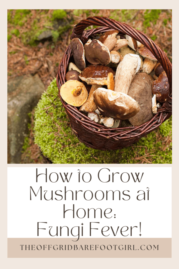 Image illustrates a Pinterest pin of a basket of mushrooms demonstrating how to grow mushrooms. 
