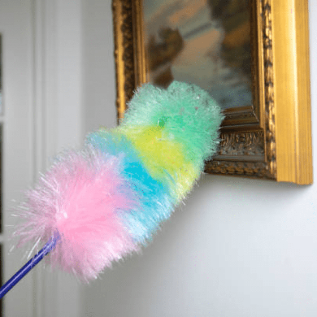 Image illustrates a duster dusting a photo for spring cleaning. 